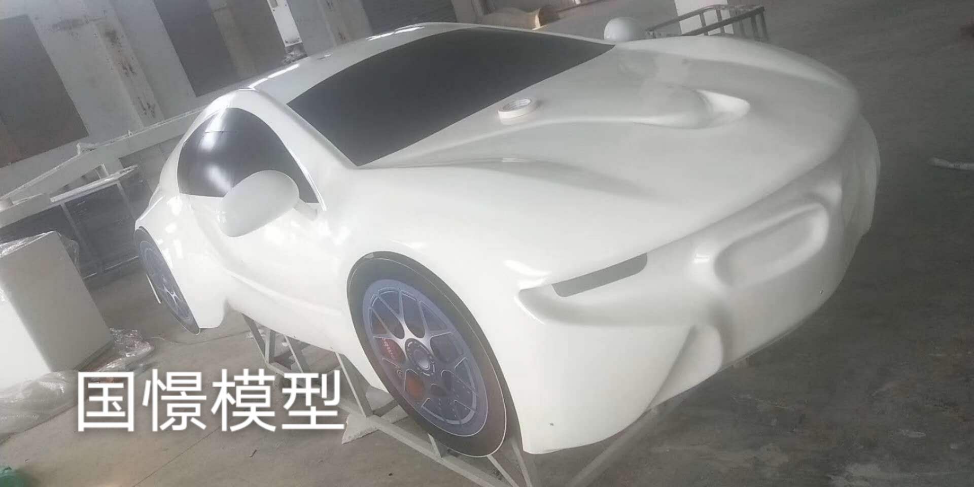 瑞金市车辆模型