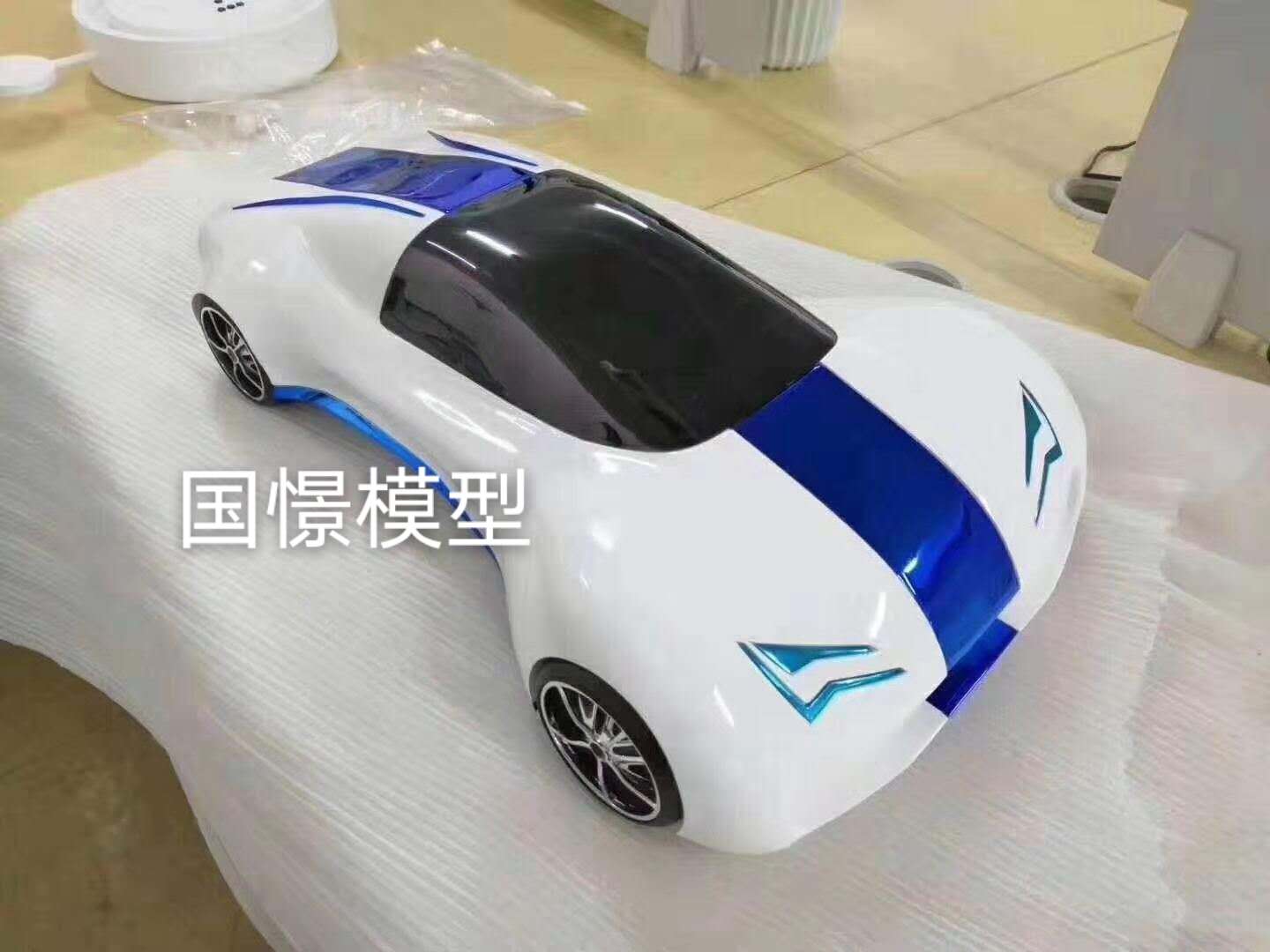 瑞金市车辆模型